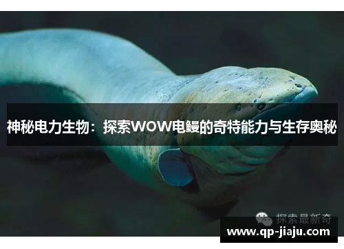 神秘电力生物：探索WOW电鳗的奇特能力与生存奥秘